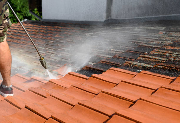 Best Best Pressure Washing Companies  in Antelope, CA