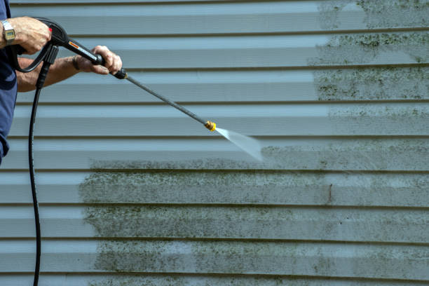 Local Pressure Washing Services in Antelope, CA