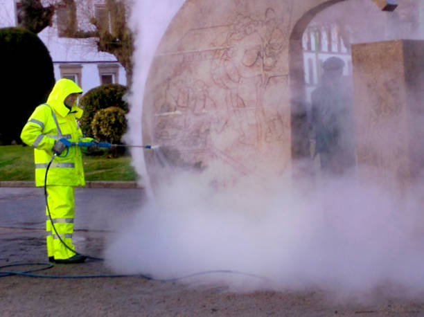 Best House Pressure Washing  in Antelope, CA